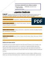 Esportes radicais: aéreos, aquáticos, terrestres e urbanos