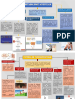 Mapas de Metabolismo Muscular