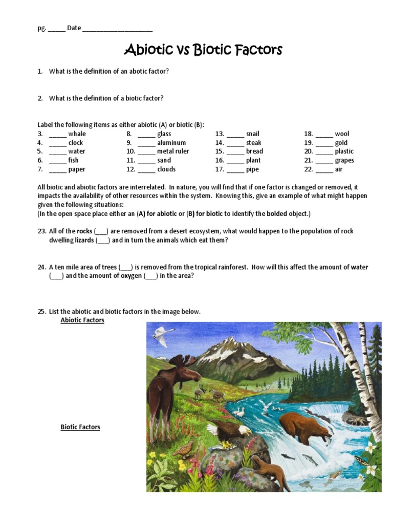 Abiotic Vs Biotic Factors  PDF Throughout Abiotic Vs Biotic Factors Worksheet Answers%