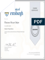 Platoon Nicart Bejer: Course Certificate