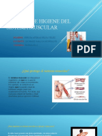 Medidas de Higiene Del Sistema Muscular