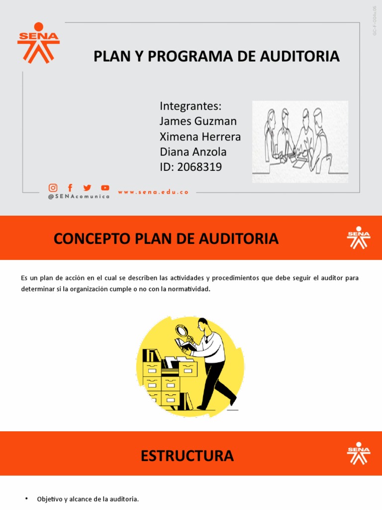 Plan y Programa de Auditoria | PDF | Auditoría | Business