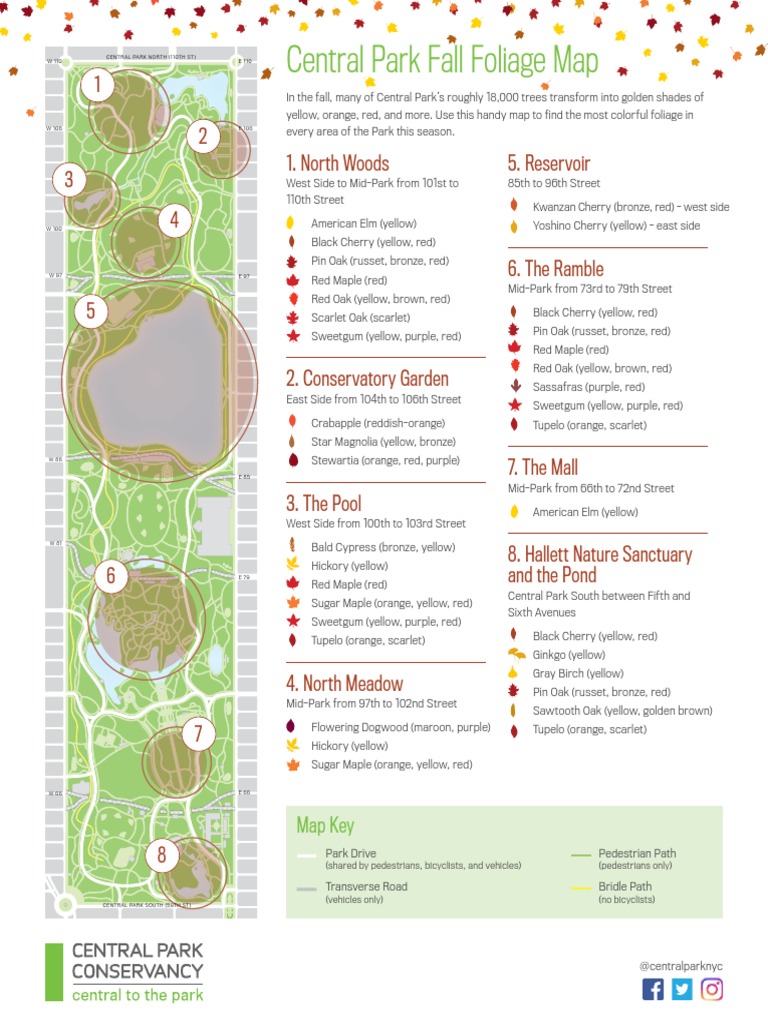 Central Park Fall Foliage Map A Guide to Finding the Most Vibrant Fall