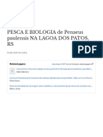 Pesca E Biologia de Penaeus Paulensis NA LAGOA DOS PATOS, RS