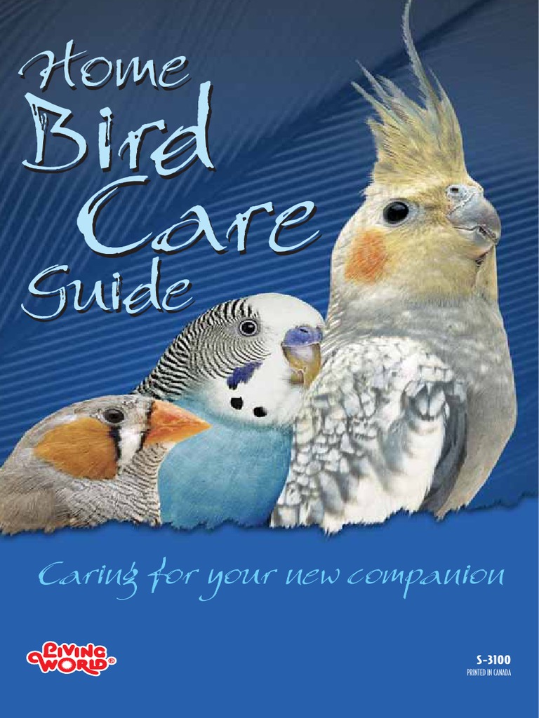 Caring for Pet Birds A Home Bird Care Guide PDF Birds Dietary