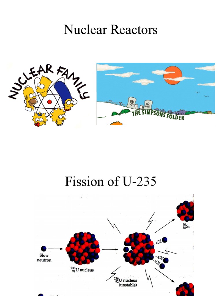 Overview of Nuclear Reactor Types | PDF | Home & Garden | Technology ...
