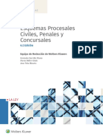 Esquemas Procesales. Primeras Paginas