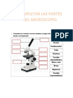 LAS PARTES DEL MICROSCOPIO 1