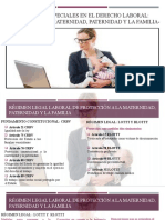 UNIDAD V. REGÍMENES ESPECIALES EN EL DERECHO LABORAL. TEMAS 1 y 2.