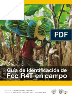 Guia de Identificacion Agrocalidad