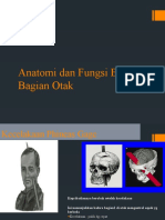 Anatomi Otak dan Fungsi