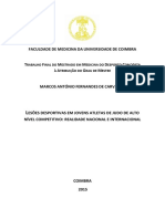 Tese de Mestrado em Medicina Do Desporto 2015 - Marcos Carvalho