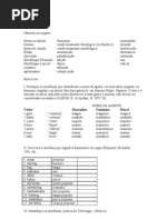 Linguistica MORFOLOGIA