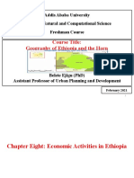 Ethiopia's Economic Activities