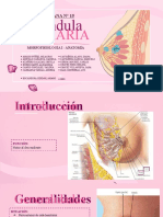 Sem15 Anatomía