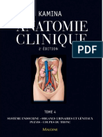 Anatomie Clinique, T4 Systeme Endocrine, Organes Urinaires Et Genitaux, Pelvis , Coupe Du Tronc KAMINA