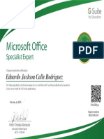 MICROSOFT OFFICE SPECIALIST EXPERT