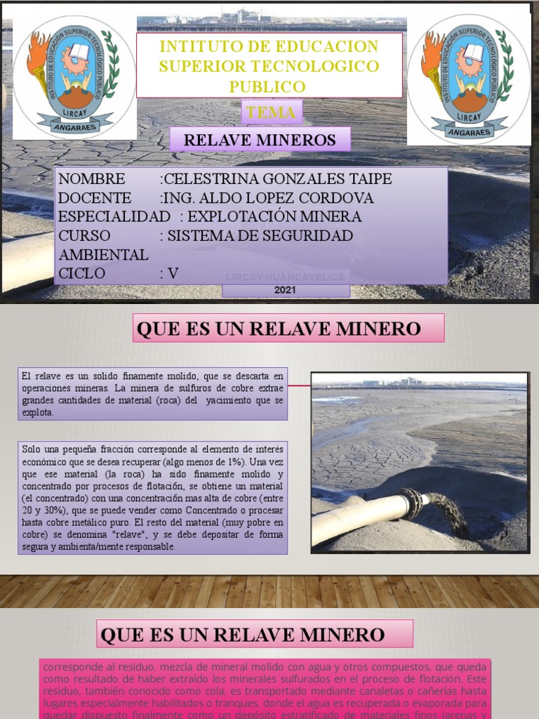Relaves Mineros | PDF | Entorno natural | Naturaleza