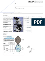 T.P. Laboratorio1- células