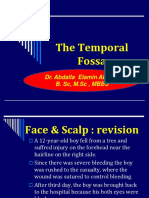 Temporal & TMJ IUA 13