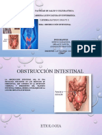 Obstrucción intestinal: etiología, fisiopatología y cuadro clínico