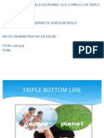 Triple Bottom Line