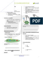 biologia-fotossintese-e-quimiossintese-v01