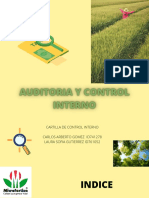 Auditoria y Control Interno