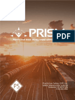 PRISM Brochure 2018 - Esp