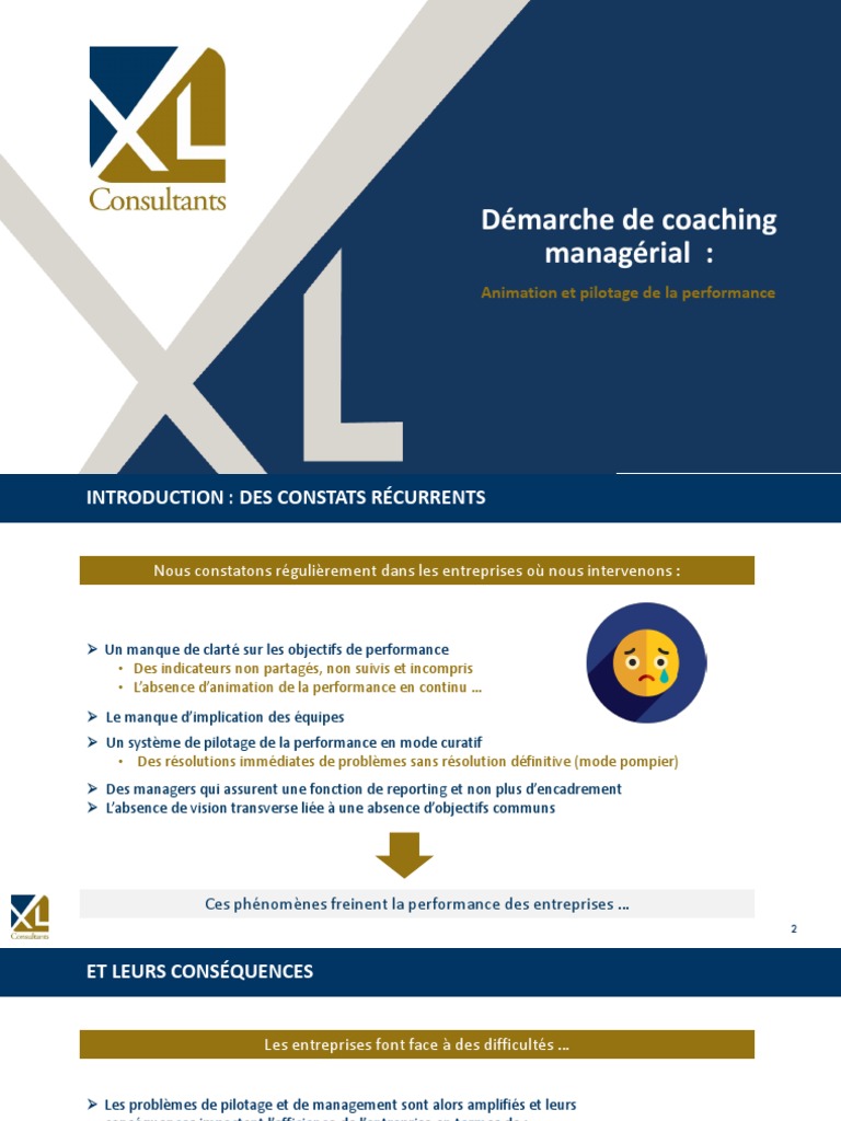 Pilotage de La Performance XLGroupe - 0 | PDF | Business | Science