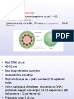 DNA Virusi II Predavanje