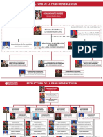 Estructura Fanb de Venezuela