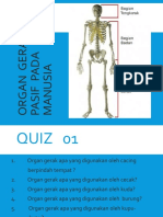 Organ Gerak Pasif Pada Manusia Sub Tema 2