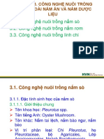 Chuong 3.1. Cong Nghe Nuoi Trong Nam So