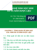 Tổng hợp Nấm