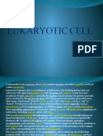 Eukaryotic Cell PowerPoint Presentation