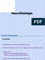 Introdução Neurofisiologia
