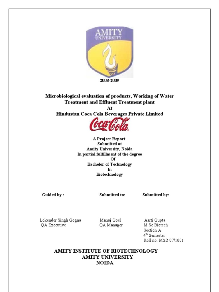 Coke Project Report | PDF | Coca Cola | The Coca Cola Company