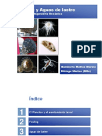 Fouling y Aguas de Lastre