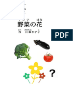 LVL 0 - 野菜の花