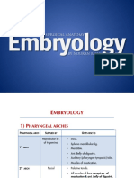 Embryology (By Nouran Bahig) - 050721230957