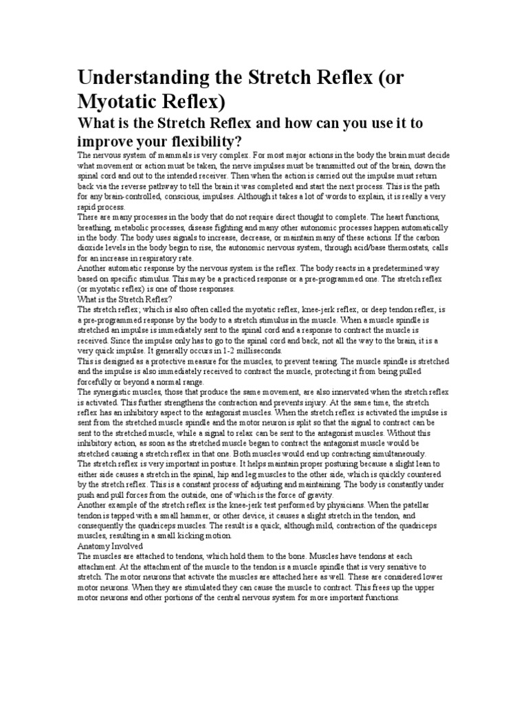 Stretch Reflex Explained for Flexibility | PDF | Motor Neuron | Muscle