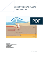 DESPLAZAMIENTO DE LAS PLACAS TECTONICAS Tsunamis