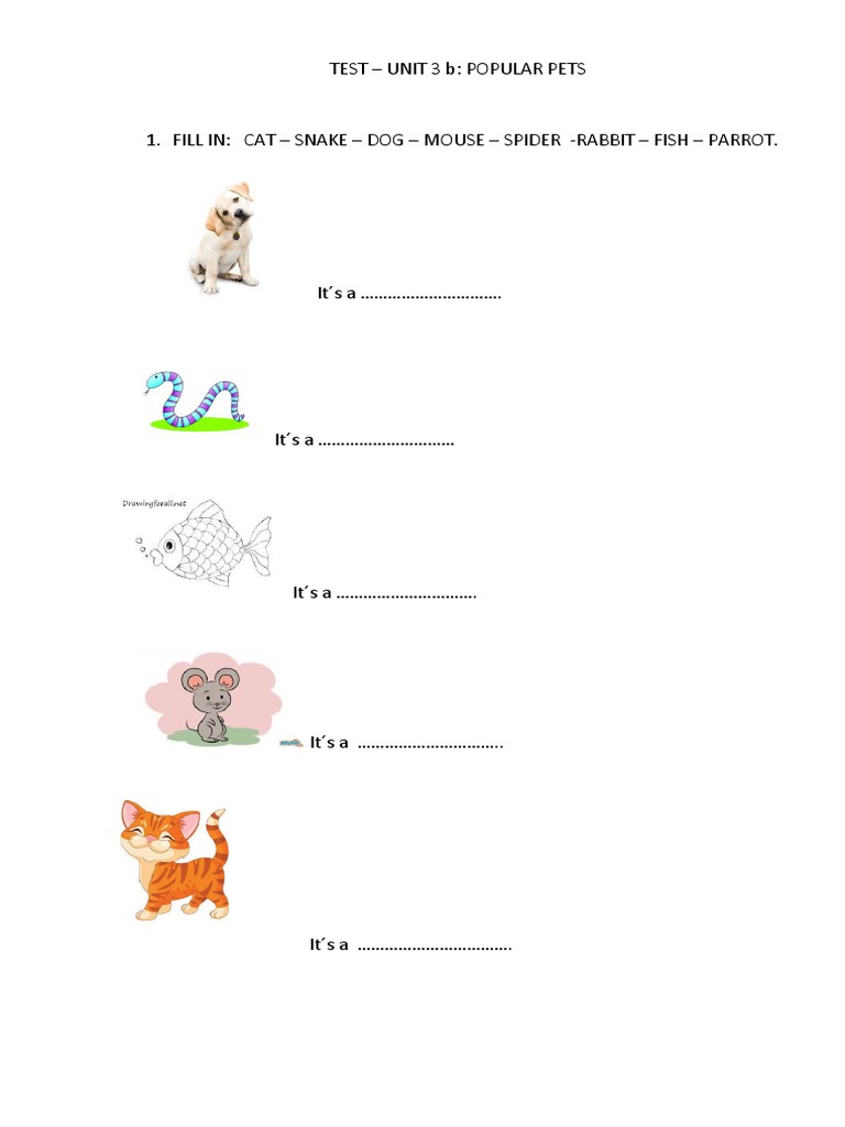 Test - Unit 3 B: Popular Pets | PDF | History