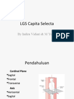 LGS Capita Selecta: by Indira Vidiari & M Yusuf