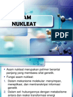 11-Asam-Nukleat 11075 0