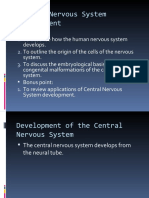 Embryology of The Nervous System