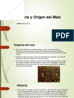 Historia y Origen Del Maíz