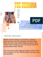 Fisiologi Urogenital