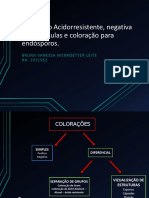 Coloração Acidorresistente para endósporos e cápsulas